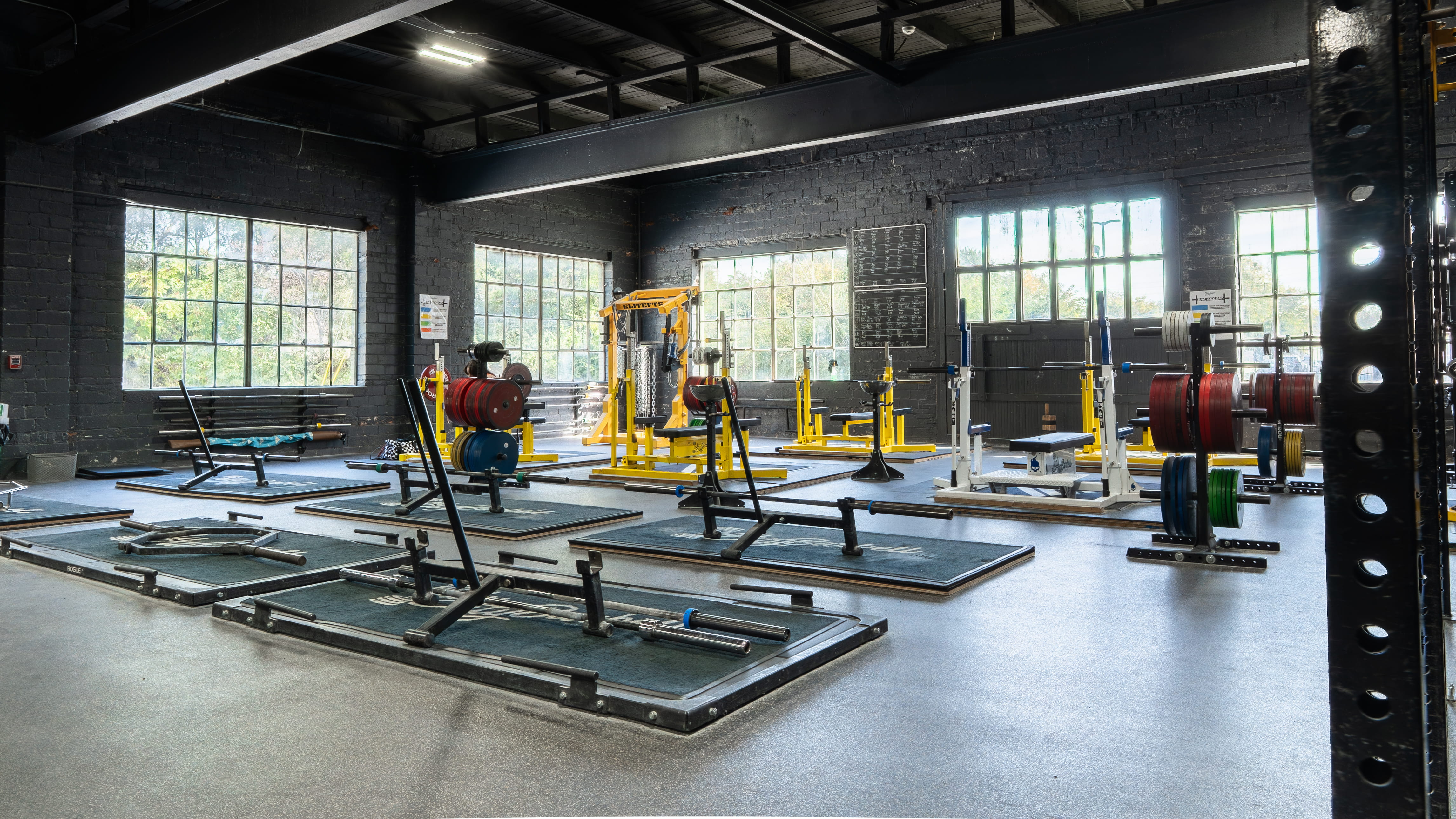 Free Weight Area